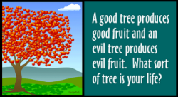 tree-good-fruit
